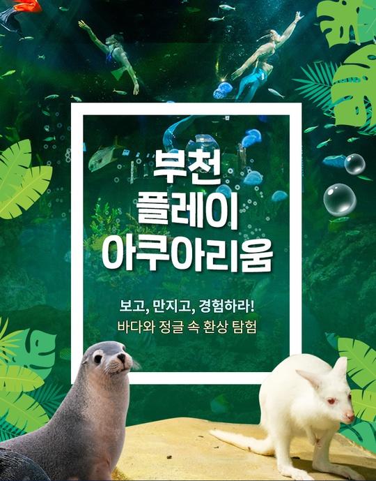 부천 플레이 아쿠아리움 1인 입장권